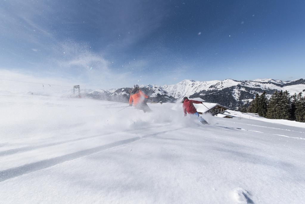 Apartchalet Almliebe Maria Alm am Steinernen Meer Buitenkant foto